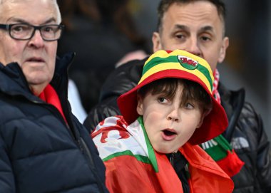 Galler taraftarları, 21 Mart 202 'de Cardiff City Stadyumu' nda oynanan Galler - Finlandiya yarı final play-off karşılaşması öncesinde yerlerini aldılar.