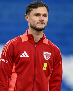Galler 'den Liam Cullen, UEFA Euro Elemeleri Eleme Grubu A karşılaşması sırasında Cardiff City Stadyumu' nda Galler 'e karşı Polonya maçı sırasında geldi.