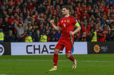 Galler 'den Ben Davies, 26 Mart 202' de Cardiff City Stadyumu 'nda Galler - Polonya maçında aldığı cezayı kutluyor.