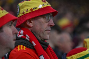 UEFA Euro Elemeleri Eleme Grubu A karşılaşması sırasında Cardiff City Stadyumu 'nda Galler ile Polonya arasında 26 Mart 202' de gerginlik tırmandı.