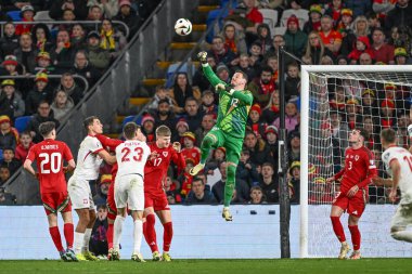Galler 'den Danny Ward, 26 Mart 202' de Cardiff City Stadyumu 'nda Galler' e karşı Polonya Avrupa Kalifiye Grubu A maçında temiz yumruklar attı.