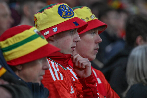 Напряжение нарастает во время матча группы А Евроквалификаторов УЕФА Уэльс - Польша на стадионе Кардифф Сити, Великобритания, 26 марта 202 года