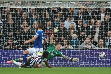 Newcastle United takımından Alexander Isak, Premier League maçı Newcastle United 'ın Everton' a karşı oynadığı 2 Nisan 202 'de St. James' s Park, Newcastle 'da 1-0 öne geçti.