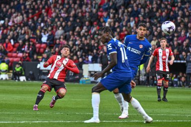 Sheffield United takımından Gustavo Hamer, Sheffield Lane, Sheffield, İngiltere 'de oynanan Premier League maçında gol attı.