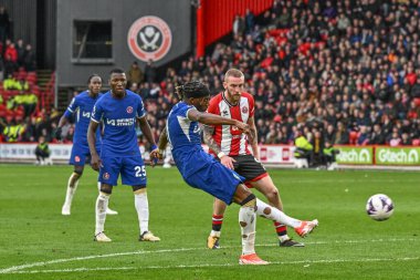 Chelsea 'li Noni Madueke Premier Lig maçında Sheffield United Chelsea' ye karşı 7 Nisan 202 'de Bramall Lane, Sheffield, Birleşik Krallık' ta gol attı.