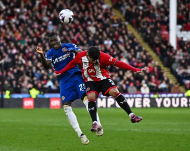 Chelsea 'den Moiss Caicedo, Sheffield United' ın Chelsea 'ye karşı oynadığı Premier Lig maçında Sheffield United' dan Gustavo Hamer 'a karşı 7 Nisan 2024' te Bramall Lane, Sheffield, Birleşik Krallık 'ta yüksek topu kazanmak için sıçradı.