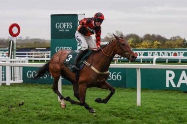 Kielan Woods 'un bindiği Diva Luna, 11 Nisan 2024 tarihinde Aintree Yarış Pisti, Liverpool, Birleşik Krallık' ta düzenlenen Randox Grand National 2024 Açılış Günü sırasında Goffs UK Nickel Mares Standart Açık NH Flat (2. derece) yarışını kazandı.