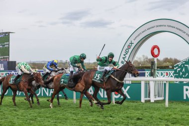 Arizona Cardinal ridden by Ciaran Gethings wins 4.05pm The Randox Supports Race Against Dementia Topham Chase (Grade 3) during the The Randox Grand National 2024 Ladies Day at Aintree Racecourse, Liverpool, United Kingdom, 12th April 202 clipart