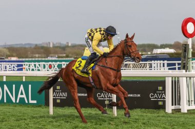 Paul Townend 'in bindiği Dans Şehri 12 Nisan 2024' te Aintree Yarış Pisti 'nde düzenlenen Randox Grand National 2024 Bayanlar Günü sırasında Cavani Sartorial Menswear Sefton Novices Engeli' ni (1. Sınıf) kazandı.