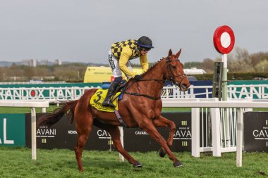 Paul Townend 'in bindiği Dans Şehri 12 Nisan 2024' te Aintree Yarış Pisti 'nde düzenlenen Randox Grand National 2024 Bayanlar Günü sırasında Cavani Sartorial Menswear Sefton Novices Engeli' ni (1. Sınıf) kazandı.