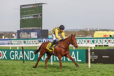 Paul Townend 'in bindiği Dans Şehri 12 Nisan 2024' te Aintree Yarış Pisti 'nde düzenlenen Randox Grand National 2024 Bayanlar Günü sırasında Cavani Sartorial Menswear Sefton Novices Engeli' ni (1. Sınıf) kazandı.