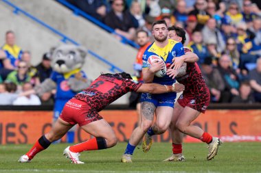 Warrington Wolves 'tan Connor Wrench, 20 Nisan 202' de Warliwell Jones Stadyumu, Warrington 'da oynanan 8. Betfred Süper Lig karşılaşmasında Leoparların savunmasında koşuyor.