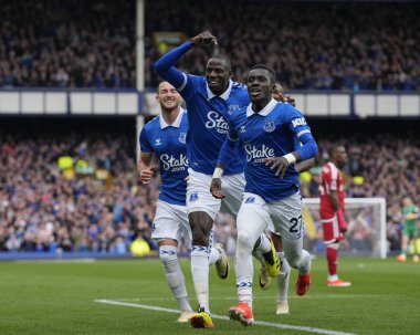 Everton 'dan İdrissa Gueye, İngiltere' nin Liverpool kenti Goodison Park 'ta oynanan Premier League maçında 1-0' lık skoru kutluyor.