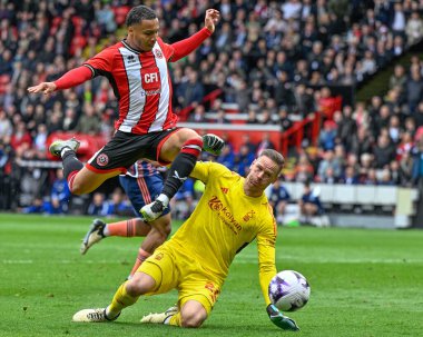 Nottingham Ormanı 'ndan Matz Sels, Sheffield Uniteds takımından Cameron Archer' ı Premier League maçında Sheffield United Nottingham Ormanı 'na karşı Bramall Lane, Sheffield, İngiltere' de 4 Mayıs 2024 'te oynanan maçta golle kurtardı. 
