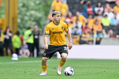 Wolverhampton Wanderers 'dan Enso Gonzalez Premier Lig karşılaşmasında Wolverhampton Wanderers, Molineux, Wolverhampton' daki Crystal Palace 'a karşı, 11 Mayıs 2024 