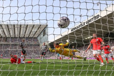 Newcastle United 'tan Sean Longstaff Brighton & Hove Albion' dan Bart Verbruggen 'ı geçerek Premier League maçı Newcastle United' a karşı Brighton ve Hove Albion 'u 11 Mayıs 2024' te St. James 's Park, Newcastle, İngiltere' de yendi. 