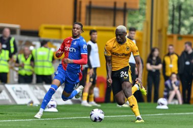 Wolverhampton Wanderers 'dan Toti Gomes ve Crystal Palace' dan Michael Olise, Premier League maçında Wolverhampton Wanderers, Molineux, Wolverhampton, İngiltere 'deki Crystal Palace' a karşı, 11 Mayıs 2024 'te oynanan maçta topu kovaladılar. 