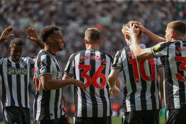 Newcastle United takımından Sean Longstaff, 11 Mayıs 2024 'te St. James' s Park, Newcastle, İngiltere 'de oynanan Premier League maçı Newcastle United ve Hove Albion maçında 1-1 kazanma hedefini kutluyor. 