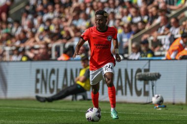 Brighton & Hove Albion takımından Simon Adingra, 11 Mayıs 2024 'te İngiltere' nin Newcastle kentindeki St. James 's Park' ta oynanan Premier League maçı Newcastle United ve Hove Albion maçında topa vuruyor. 