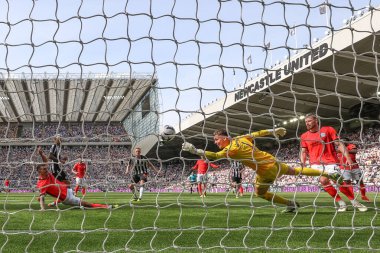 Newcastle United 'tan Sean Longstaff Brighton & Hove Albion' dan Bart Verbruggen 'ı geçerek Premier League maçı Newcastle United' a karşı Brighton ve Hove Albion 'u 11 Mayıs 2024' te St. James 's Park, Newcastle, İngiltere' de yendi. 