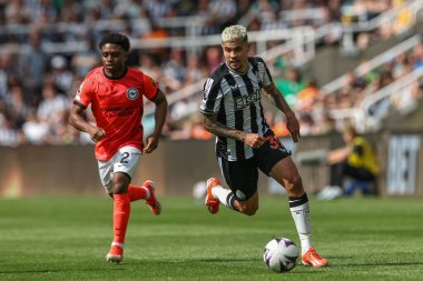 Newcastle United takımından Bruno Guimares, 11 Mayıs 2024 'te St. James' s Park, Newcastle, İngiltere 'de oynanan Premier Lig karşılaşmasında Newcastle United, Brighton ve Hove Albion' a karşı oynuyor. 