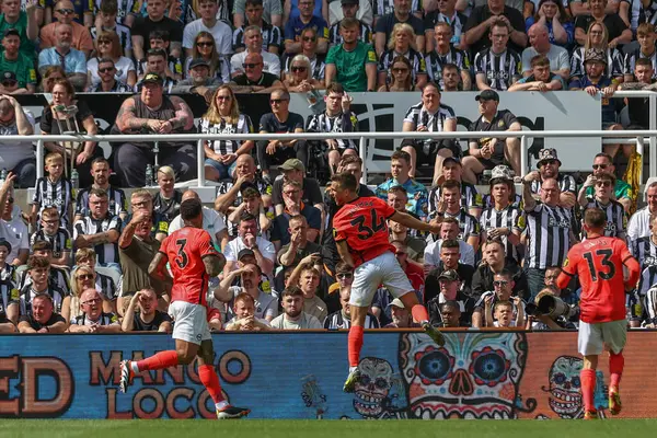 stock image Jol Veltman of Brighton & Hove Albion celebrates his goal to make it 0-1 during the Premier League match Newcastle United vs Brighton and Hove Albion at St. James's Park, Newcastle, United Kingdom, 11th May 2024 