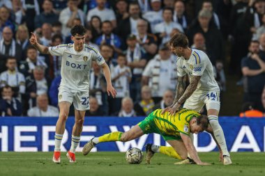 Norwich City 'den Ashley Barnes 16 Mayıs 2024' te İngiltere, Leeds, Elland Road 'da oynanan yarı final yarı final ikinci bacak Leeds City maçında topa kayıyor. 