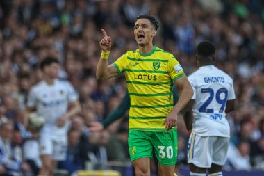 Norwich City 'den Dimitris Giannoulis takım talimatlarını 16 Mayıs 2024' te İngiltere 'nin Leeds şehrindeki Elland Road' da oynanan Gökyüzü İddia Şampiyonası Yarı Final İkinci Leeds United - Norwich City maçında veriyor. 