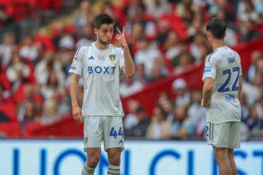 Leeds United takımından Ilia Gruev, 26 Mayıs 2024 'te İngiltere' nin Wembley Stadyumu 'nda oynanan Sky Bet play-off final maçında Leeds United ve Southampton maçında Leeds United' tan Archie Gray ile konuştu. 