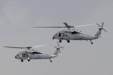 A pair of Sikorsky SH-60/MH-60 Seahawk Sea Hawk of United States Navy, during the NATO Tiger Meet at Schleswig AB, Jagel, Germany, 7th June 2024 clipart