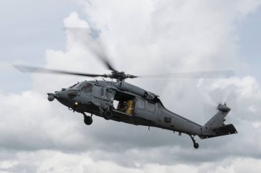 Sikorsky SH-60 / MH-60 ABD Donanmasından Deniz Şahini NATO Kaplan Gözcüleri Günü 'nde 10 Haziran 2024' te AB, Jagel, Almanya 'nın kuzeyinde
