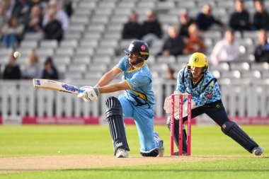 Yorkshire Vikings 'ten David Malan, Birmingham Ayıları ile Lancashire Lightning arasındaki 14 Haziran 2024' te oynanan Vitality Blast maçında altı aldı.  