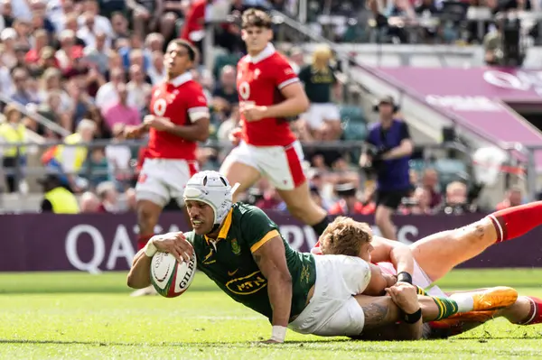 stock image Edwill van der Merwe of South Africa goes over for a try and makes the score 39-13 during the Qatar Airways Cup match South Africa vs Wales at Twickenham Stadium, Twickenham, United Kingdom, 22nd June 2024 