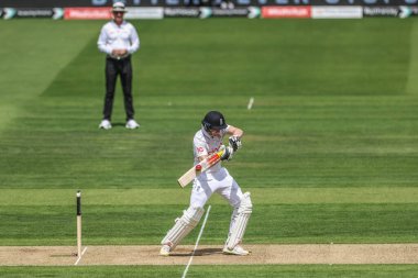 İngiltere 'den Harry Brook, Lords, Londra, Birleşik Krallık' ta oynanan Rothesay Test Maçı 2. Gün İngiltere - Batı Hint Adaları karşılaşmasında iki koşu yaptı ve yarım yüzyıl (50 koşu) koştu.