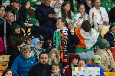 İrlanda taraftarları UEFA Kadınlar Şampiyonası elemelerinde maç atmosferinin tadını çıkarıyorlar - Grup 3 - İngiltere - Carrow Road, Norwich, İngiltere, 12 Temmuz 2024 
