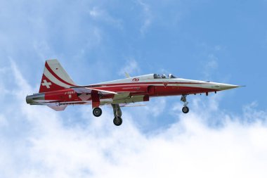 Royal International Air Tattoo 2024 'teki RAF Fairford, Cirencester, İngiltere' de Geliş Günü sırasında İsviçre Hava Kuvvetleri Patrouille Suisse 'den Northrop F-5E Tiger II, 18 Temmuz 2024
