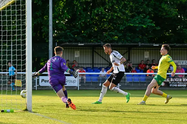 Legia Warszawa 'dan Tom Pekhart, UEFA Avrupa Konferans Ligi 2. tur ön eleme karşılaşmasında Legia Varşova' ya 0-3, İngiltere 'nin Bangor kentinde Legia Varşova' ya karşı 1 Ağustos 2024 'te oynanan karşılaşmada gol attı.