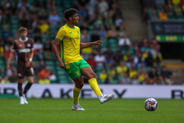 Norwich City 'den Ben Chrisene, Norwich City' nin 3 Ağustos 2024 'te Carrow Road, Norwich' te St. Pauli 'ye karşı oynadığı ön sezon dostluk maçında pas attı.