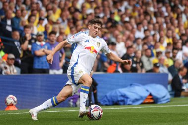 Leeds United takımından Dan James 10 Ağustos 2024 'te Leeds Road, Leeds, İngiltere' de Leeds United ve Portsmouth maçında karşılaştı.