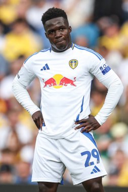 Leeds United takımından Wilfried Gnonto 10 Ağustos 2024 'te Leeds Road, Leeds, İngiltere' de Leeds United ve Portsmouth maçında
