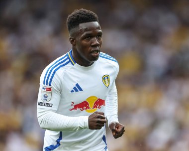 Leeds United takımından Wilfried Gnonto 10 Ağustos 2024 'te Leeds Road, Leeds, İngiltere' de Leeds United ve Portsmouth maçında