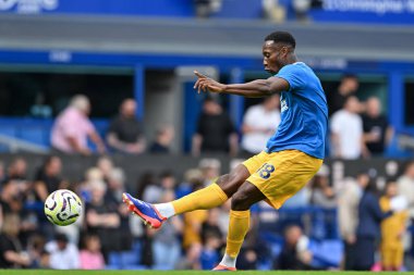 Brighton & Hove Albion takımından Danny Welbeck, 17 Ağustos 2024 'te Goodison Park, Liverpool' da oynanan Premier League maçı öncesinde Everton ve Hove Albion maçında ısındı.