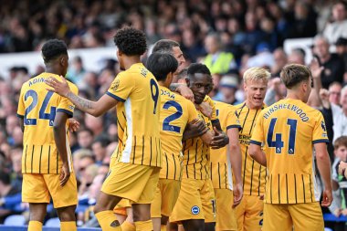 Brighton & Hove Albion takımından Danny Welbeck, 17 Ağustos 2024 'te Goodison Park, İngiltere' de oynanan Premier League maçında Everton, Brighton ve Hove Albion 'a karşı 0-2 Brighton' a ulaşma hedefini kutluyor.