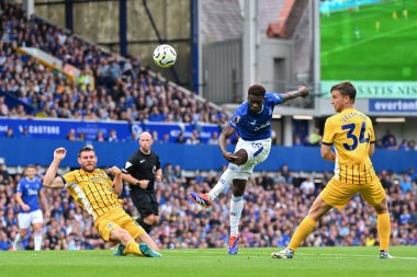 Everton 'dan Tim Iroegbunam, 17 Ağustos 2024' te Goodison Park, Liverpool 'da oynanan Premier League maçında Everton ve Hove Albion maçında gol attı.