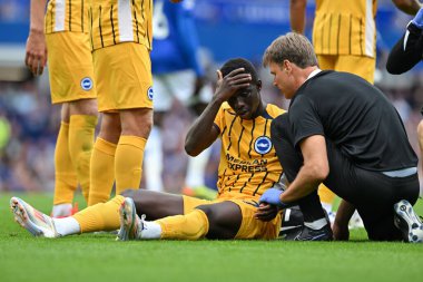 Brighton & Hove Albion takımından Yankuba Minteh, 17 Ağustos 2024 'te Goodison Park, Liverpool' da oynanan Premier Lig karşılaşmasında sakatlandı.