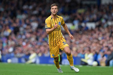 Brighton & Hove Albion takımından Jol Veltman, 17 Ağustos 2024 'te Goodison Park, Liverpool' da oynanan Premier League maçında Everton ve Hove Albion 'a karşı.