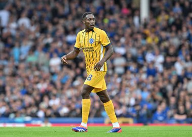 Brighton & Hove Albion takımından Danny Welbeck, 17 Ağustos 2024 'te Goodison Park, Liverpool' da oynanan Premier League maçında Everton ve Hove Albion 'a karşı.