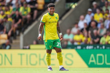 Norwich City 'den Onel Hernandez, 17 Ağustos 2024' te Norwich City 'nin Carrow Road, Norwich' te Blackburn Rovers 'a karşı oynadığı Sky Bet Şampiyonası maçına bakıyor.