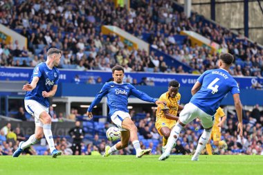 Brighton & Hove Albion takımından Simon Adingra, 17 Ağustos 2024 'te Goodison Park, İngiltere' de oynanan Premier League maçında Everton, Brighton ve Hove Albion maçında 0-3 Brighton 'a gol attı.