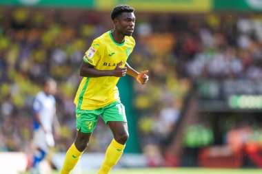 Norwich City 'den Amankwah Forson, 17 Ağustos 2024' te Norwich City ile Blackburn Rovers arasındaki Sky Bet Şampiyonluk maçına bakıyor.